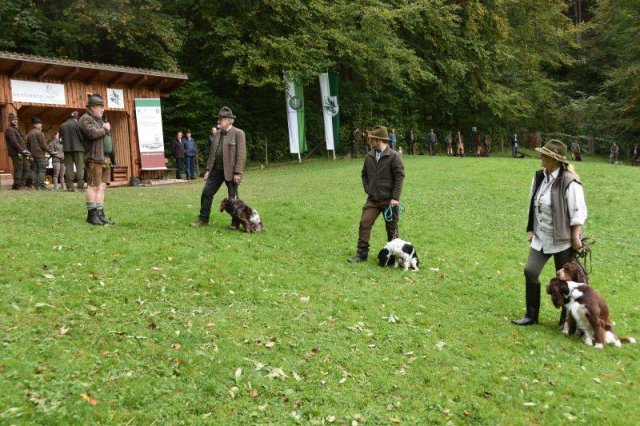 Hundepräsentation 2020